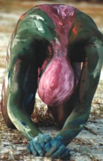 el cacique de la savana africana